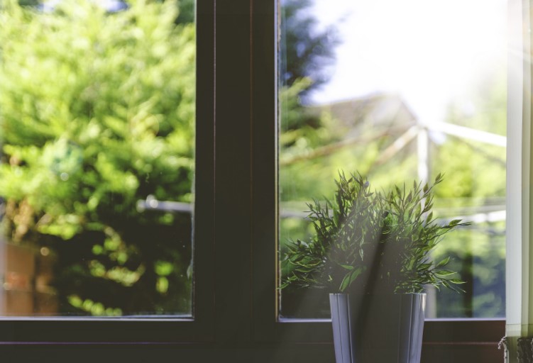 clean windows